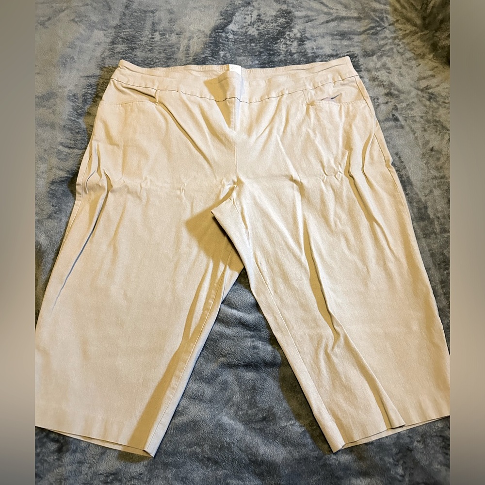 Terra & Sky Capri 3x (24w-26w) Barely worn.